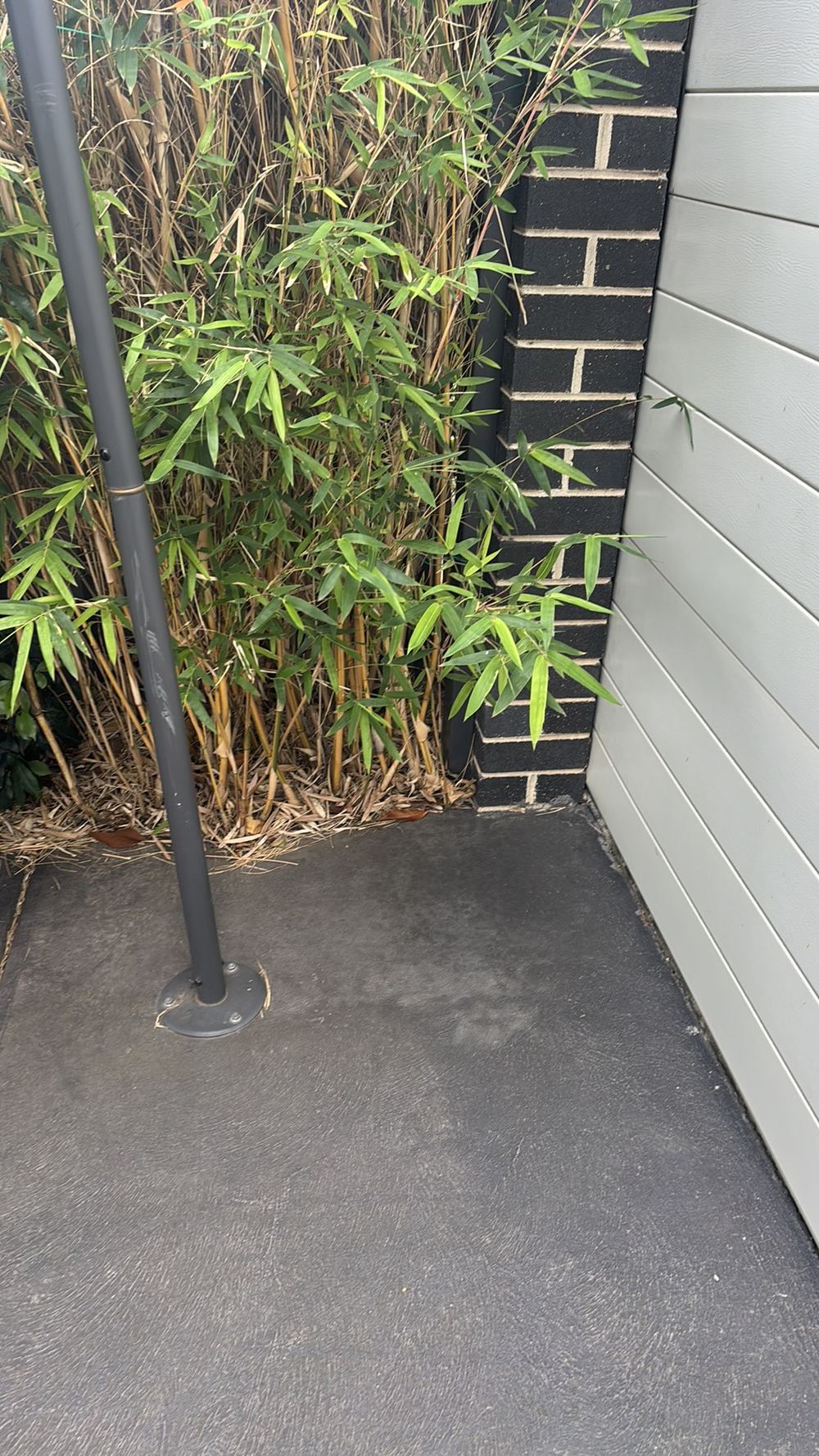 Damp, shaded planting at the wall base, a conducive condition for termites, found during a building and pest inspection in Braybrook